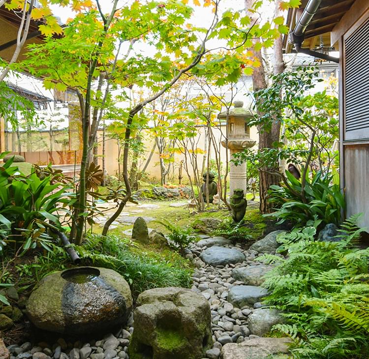 旬のお寿司と和食を寛ぎの空間で味わう穏やかな至福の時。